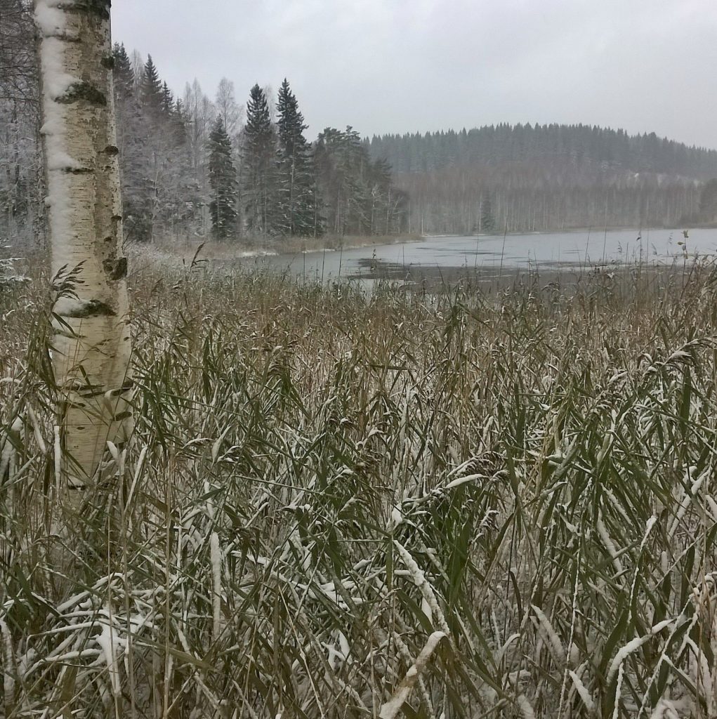 Karhuvaara