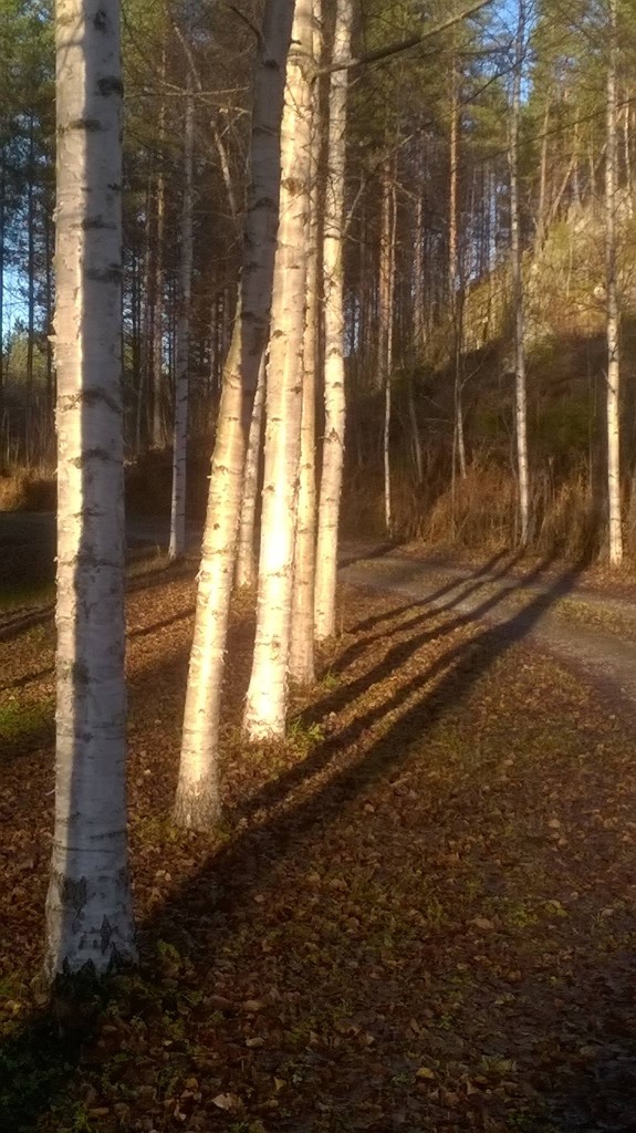 VALOJA JA VARJOJA