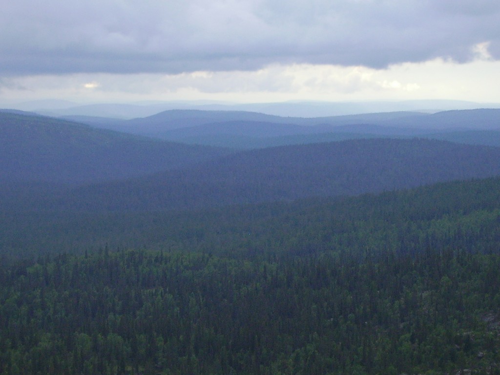 MAISEMA