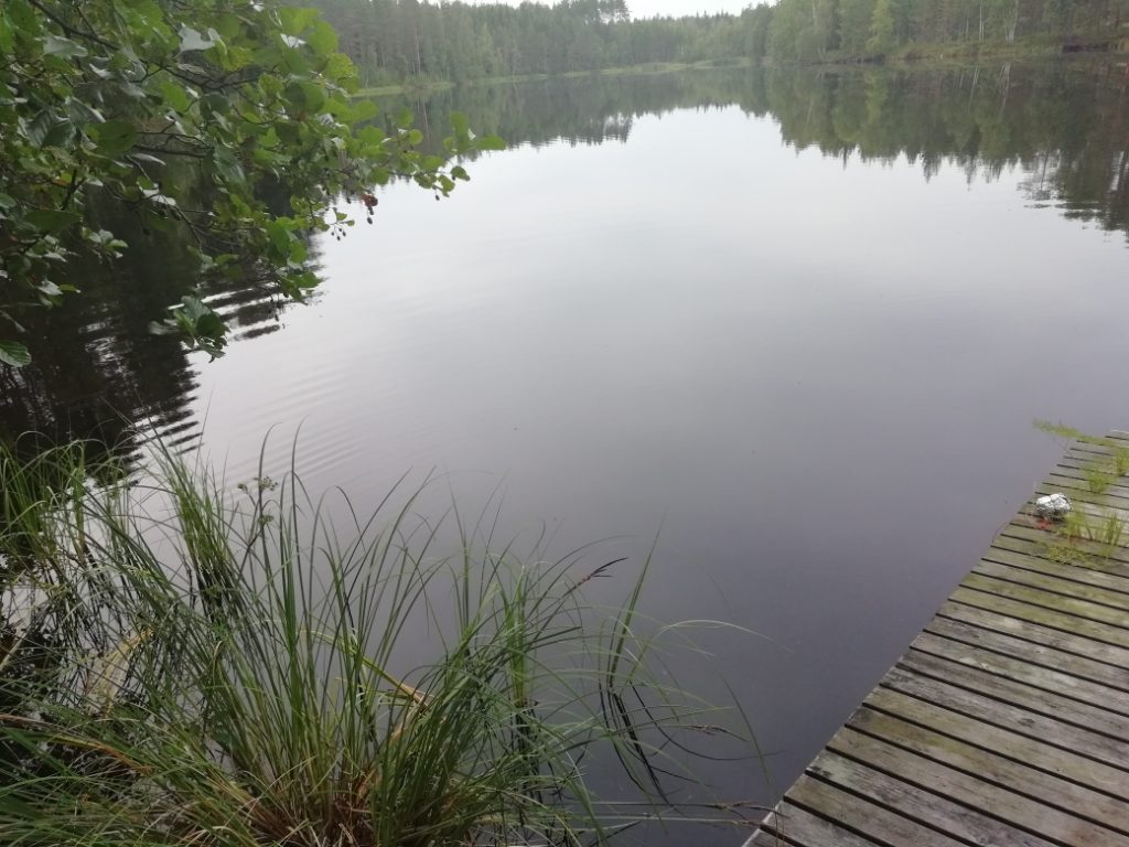 Tyyni, virkistävä