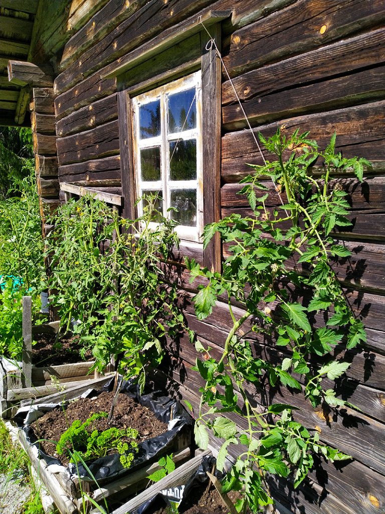 Syrjään siirtymisen ymmärrys