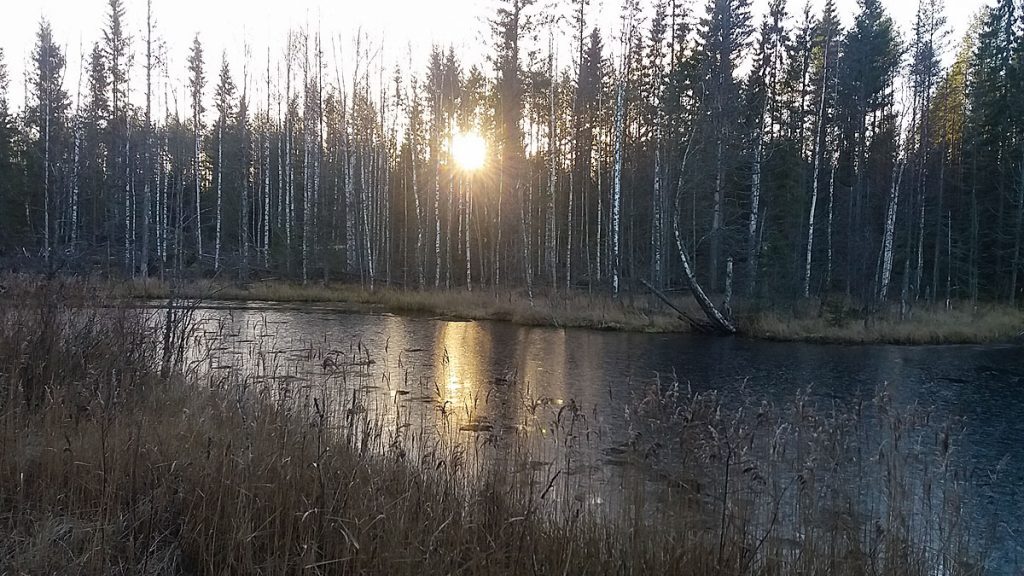 Ensilumen, kuuran ja riitteen suojassa