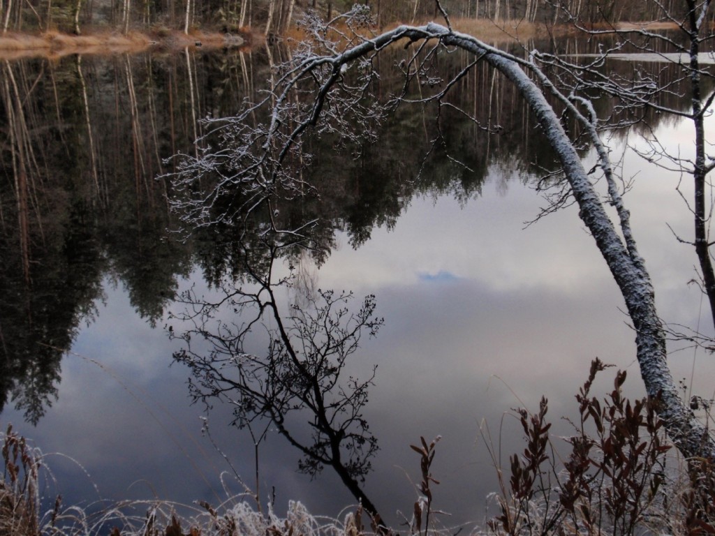 MARRASKUUN ELÄMÄN ÄÄNIÄ
