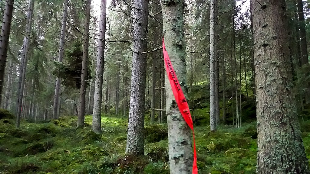 ”Seuraa minua”
