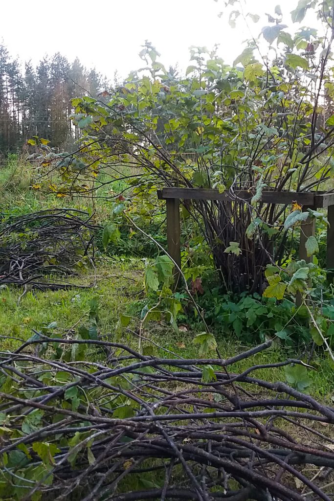 Rohkeus epävarmuuden keskellä